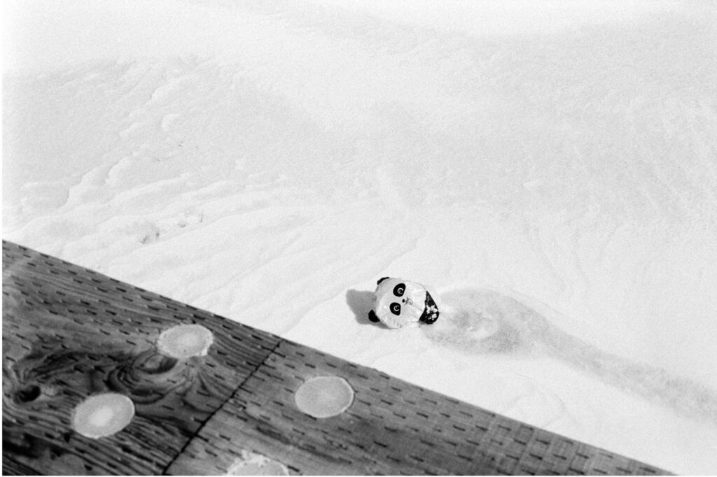 A black and white image of a panda ballon in ice. Shot from top of a boardwalk